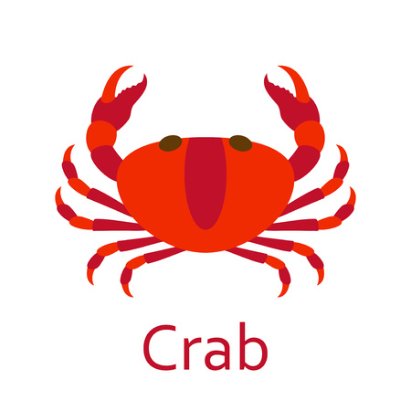 Crab. Seafood flat icon. Vector illustration.のイラスト素材