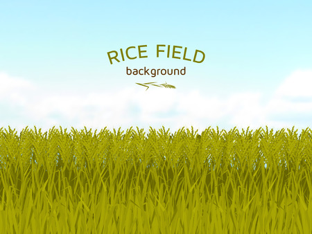 Rice field and blue sky background. Colorful vector illustration.のイラスト素材