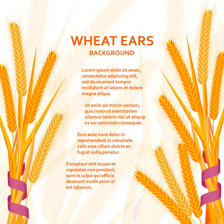 Cartoon background with wheat ears and ribbons. Colorful vector illustration.のイラスト素材