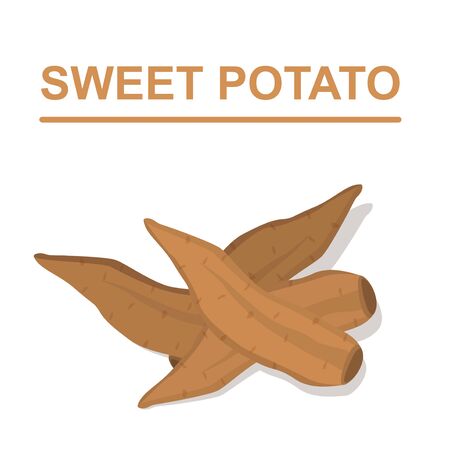 Sweet Potato isolated on the white background. Vegetables collection. Vector illustration.のイラスト素材