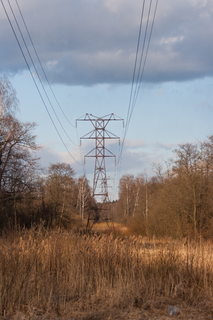 High-voltage transmission line in the spring forest at sunset against the background of the April blue sky with light clouds. Silhouettes of trees in the background.の写真素材