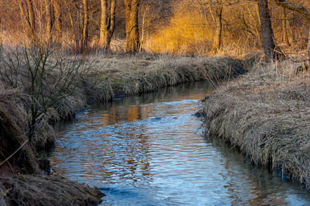 Reflection of a blue sky in a creek with thawed water in the spring April forest at sunset.の写真素材