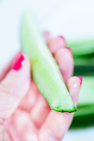 Fresh cucumbers cut into thin slices in a female hand with red nails. Manicure. Closeup. Background.の写真素材
