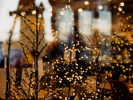 A garland of light bulbs glows behind a glass shop window before Christmas and New Year. Scandinavian supermarket chain with home and interior goods. Pula, Croatia - November 13, 2024の写真素材