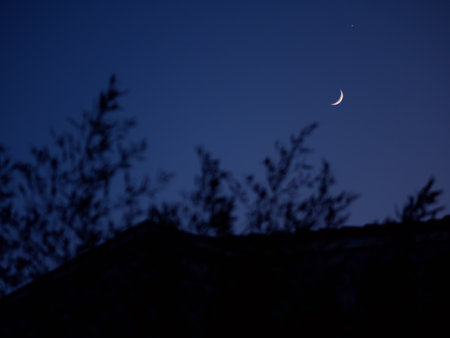 The moon in the twilight sky. Tree branches sway in the foreground. Pula, Croatia - January 3, 2025の写真素材