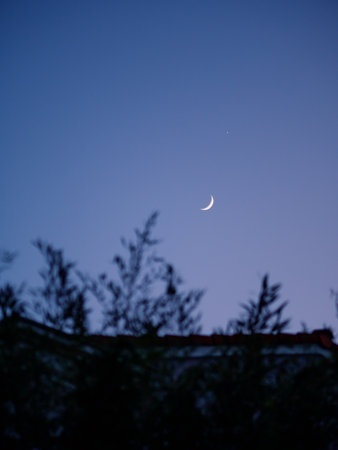 The moon in the twilight sky. Tree branches sway in the foreground. Pula, Croatia - January 3, 2025の写真素材