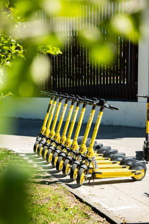 Electric scooters parked neatly on sidewalk, showcasing vibrant yellow color against lush greenery, creating a lively urban sceneの写真素材