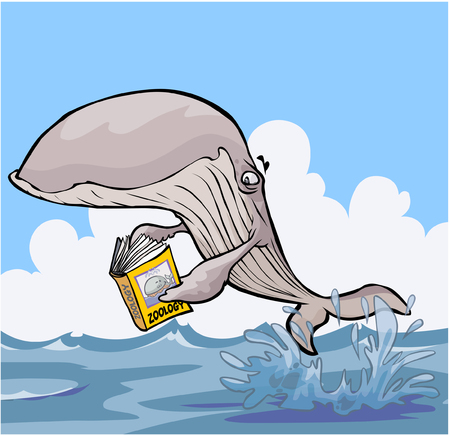 Cartoon Whale reading Zoology textbook.のイラスト素材