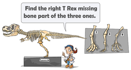 Dinosaur skeleton game.のイラスト素材