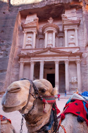 Petra Camelの写真素材