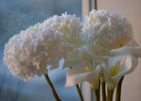 Flowers by the windowの写真素材