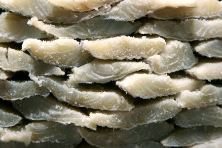 Pile of new saltfish (Baccala)の写真素材