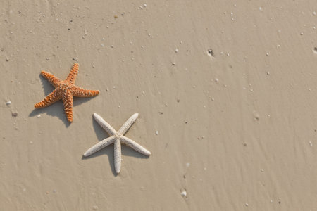 Idyllic summer vacation background with copy space