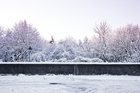 Park in Reykjavik, Iceland covered with fresh snowの写真素材