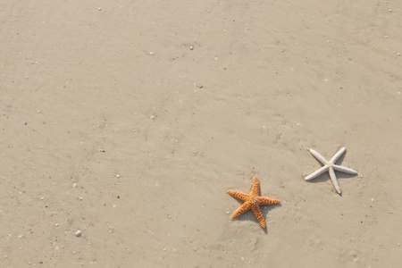 Idyllic summer vacation background with copy spaceの写真素材