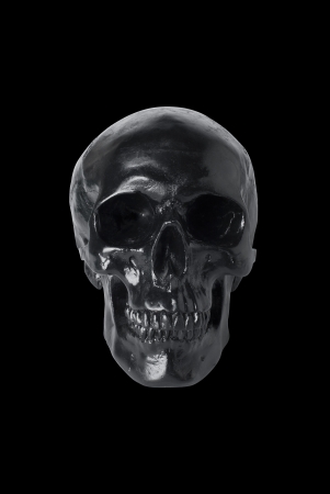 Black skull isolated on black backgroundの写真素材