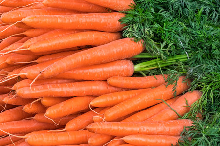 Fresh carrots at the market