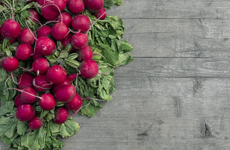 Radishes at the marketの写真素材