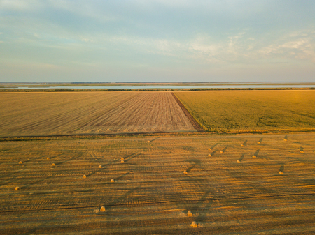 Haystack in the Field at Sunset. Aerial Viewの写真素材