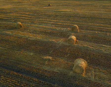 Haystack in the Field at Sunset. Aerial Viewの写真素材