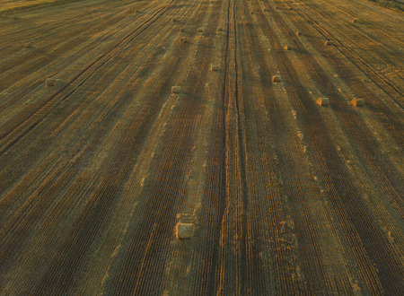 Haystack in the Field at Sunset. Aerial Viewの写真素材