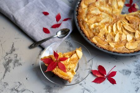 Charlotte apple pie in a round shape, decorated with fan-laden apple slices from the top, a piece of cake next to it, a cup of coffee, autumn leaves, all against a dark background.の写真素材
