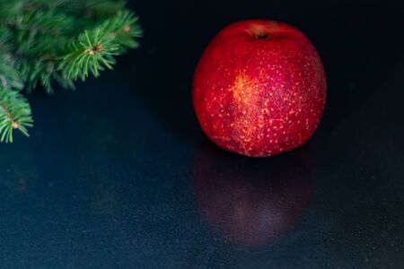 Red apple on a black background. Christmas tree branch. New Year. Copy space. Vegetarianism.の写真素材
