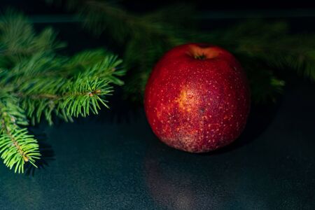 Red apple on a black background. Tree branch. New Year. Copy space. Vegetarianism.の写真素材