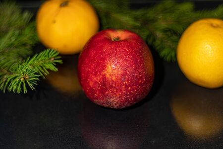 Fruit black background. Christmas tree branch. New Year. Copy space. Vegetarianism.の写真素材