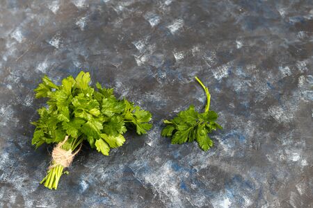 Parsley lies on a gray, stone background. Healthy, vitamin food. Copy space.の写真素材
