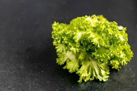 Green lettuce on a dark background. Healthy and healthy food. Can be added to vegetarian salads. Copy space.の写真素材