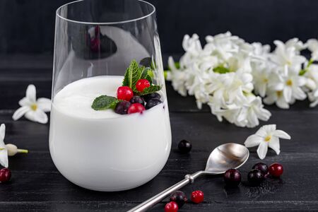 Homemade yogurt in a tall glass on a dark background. Garnished with mint and cranberries. Healthy diet food. Vegetarian food. Copy spaceの写真素材