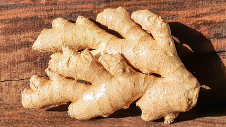 Fresh ginger root on a brown wooden background. Medical concept. Antiviral beneficial vitamin...