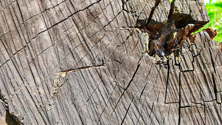 Old rustic wooden surface. Boards for background and construction. Brown texture. Copy space
