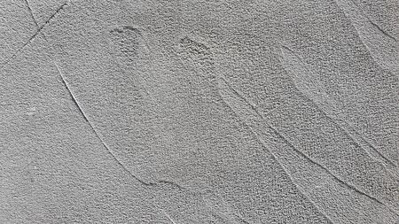 Old concrete wall, natural texture. Light background. The shadows. Copy space.の写真素材