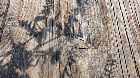 Old rustic wooden surface. Boards for background and construction. Brown texture. Copy space