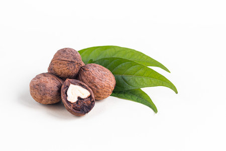 Walnuts. Contains beneficial vitamins and minerals. On a gray background. Copy space.
