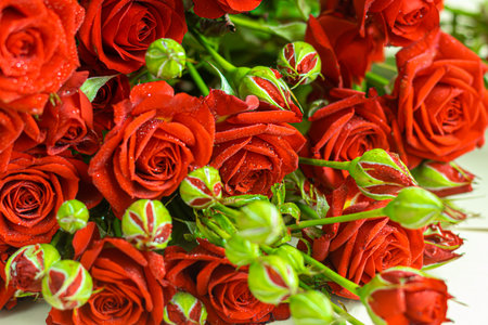 A bouquet of roses on a light background. Mother's Day, Women's Day, Valentine's Day or Birthday. Copy space.の写真素材