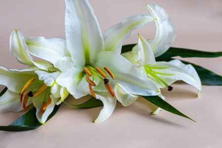 A bouquet of lilies on a light background. Mother's Day, Women's Day, Valentine's Day or Birthday....
