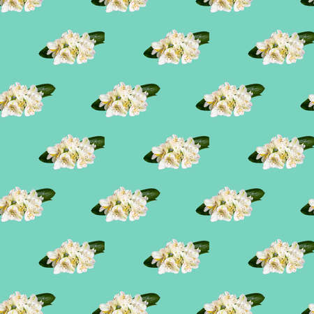 Seamless pattern with flowers on a bright background. Minimal isometric food texture. Used for boards, printing on fabric. Copy space.の写真素材
