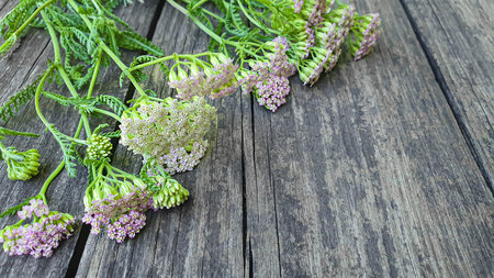 Old rustic wood surface with leaves. Boards for background and construction. Brown texture. Copy...