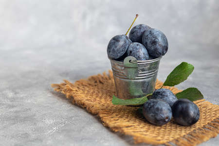 Plums on a light background. Harvesting the autumn harvest. Making jam and sauce. Still life.の写真素材