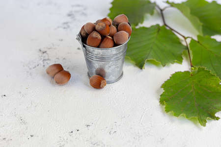 Hazelnuts on a light background with green leaves. Contains beneficial vitamins and minerals. Copy space.の写真素材