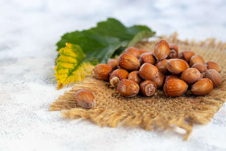 Hazelnuts on a light background with green leaves. Contains beneficial vitamins and minerals. Copy space.の写真素材