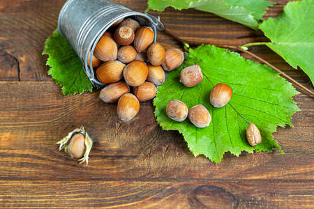 Hazelnuts on a wooden background with green leaves. Contains beneficial vitamins and minerals. Copy space.の写真素材