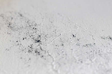 Old concrete wall, natural texture. Light shadows background. Selective focus. Free spaceの写真素材