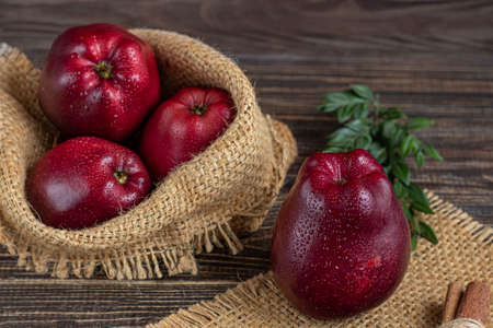 Red apples on a dark wooden background. selective focus. harvesting. Health food. copyspace.の写真素材