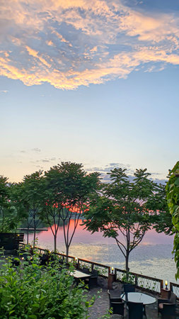 nature in the park at sunset. View of the pond and the evening sky. garden design. copyspace.