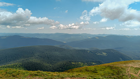 Let's go up the mountain. Landscape with clouds, pine trees and green grass. Journey through...