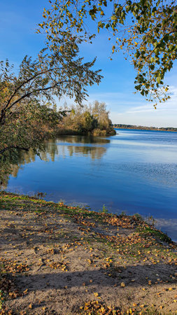 Autumn river bank. Yellow money in the trees, footprints in the sand. Crows in the trees. Campingの写真素材